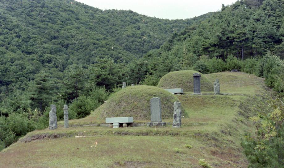 충북 문화재 사진