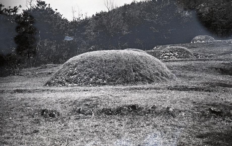 충북 문화재 사진