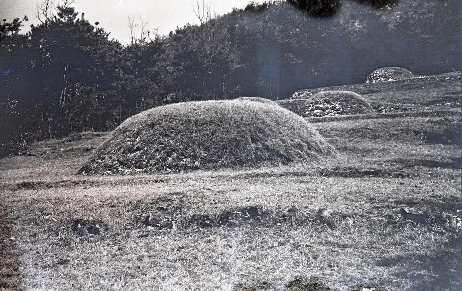 충북 문화재 사진