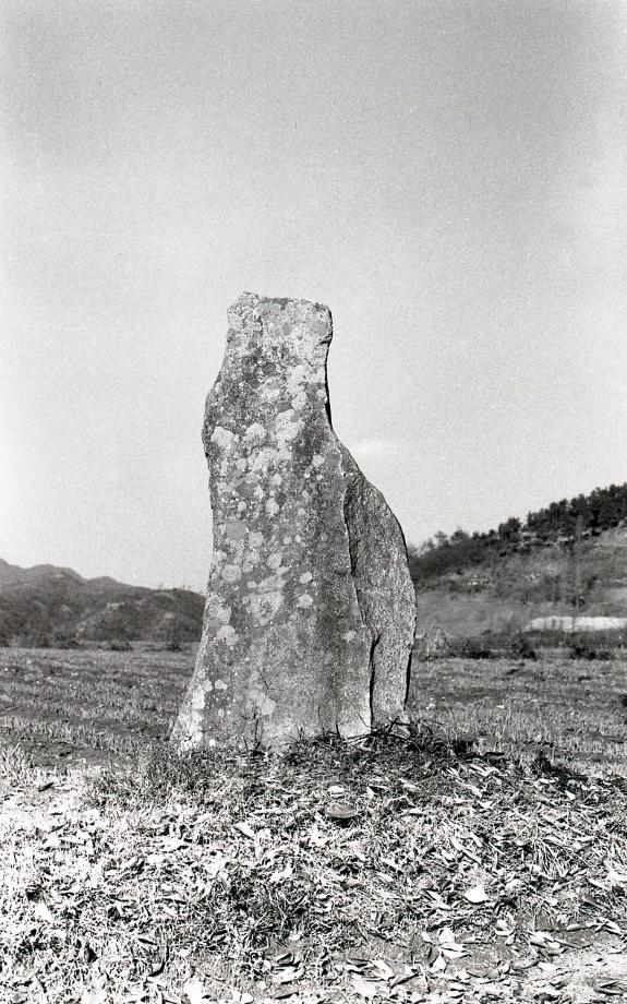 옥천 석탄리 선돌이미지