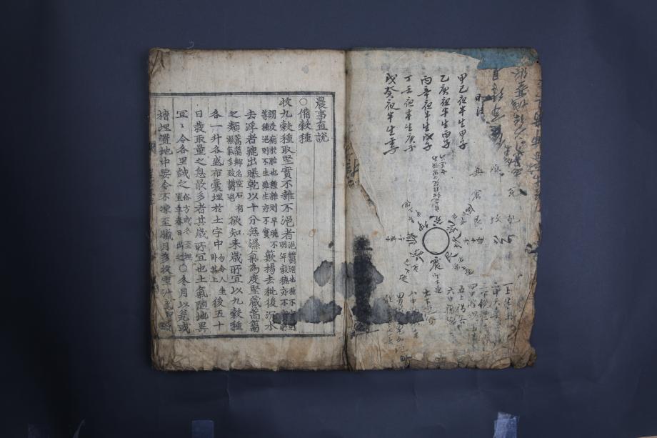제천 문화재 사진