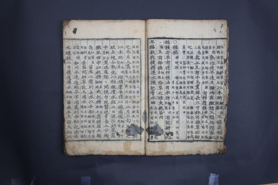 제천 문화재 사진