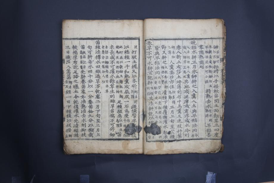 제천 문화재 사진