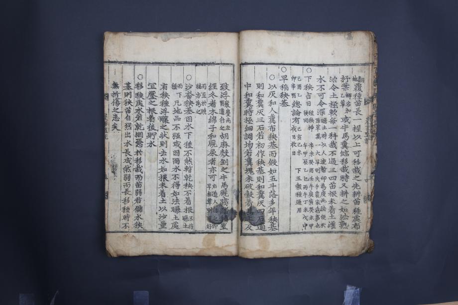 제천 문화재 사진