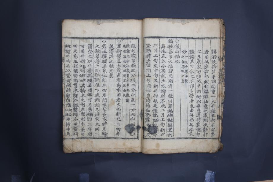 제천 문화재 사진