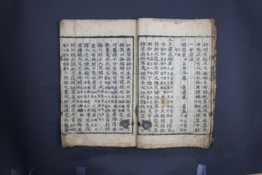 제천 문화재 사진