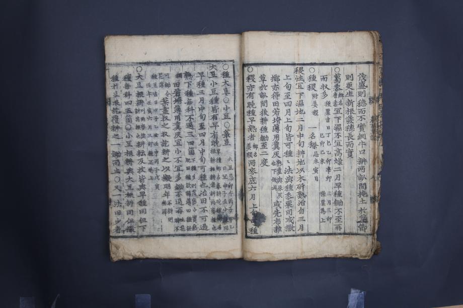 제천 문화재 사진