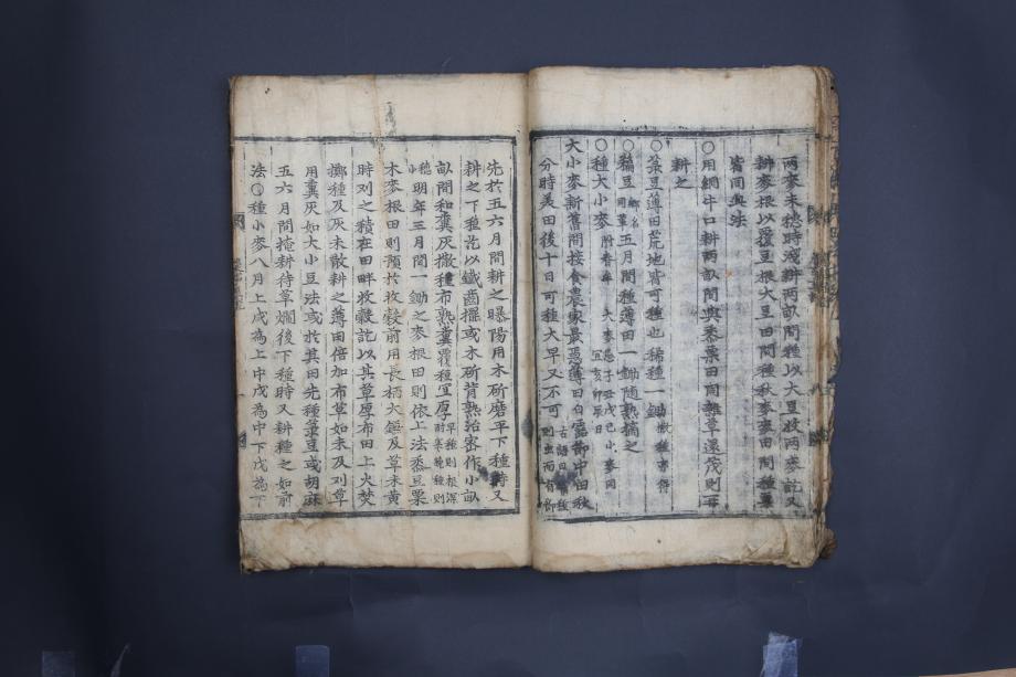 제천 문화재 사진