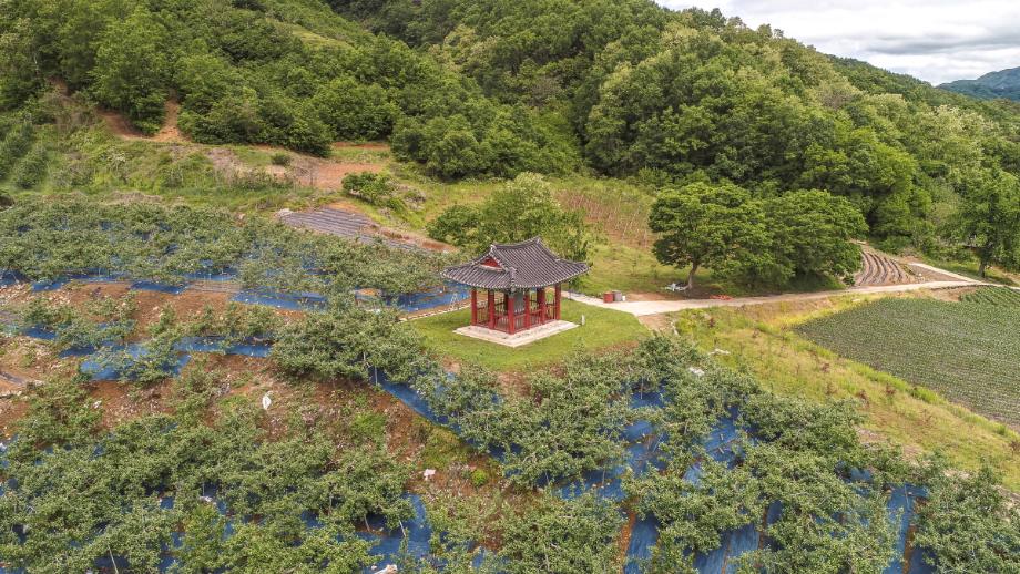 충주 억정사지 대지국사탑비 정밀실측조사 보고서