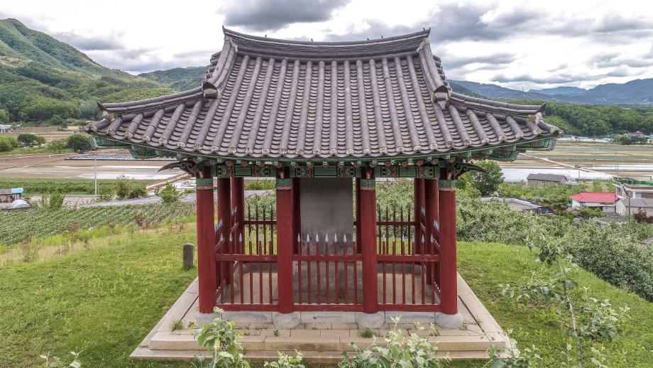 충주 억정사지 대지국사탑비 정밀실측조사 보고서