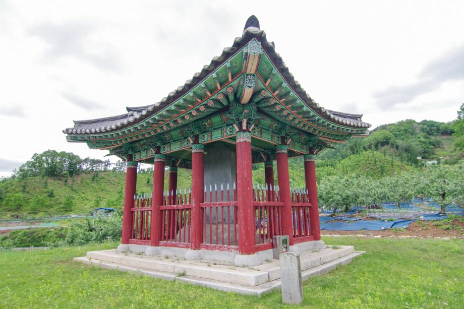 충주 억정사지 대지국사탑비 정밀실측조사 보고서