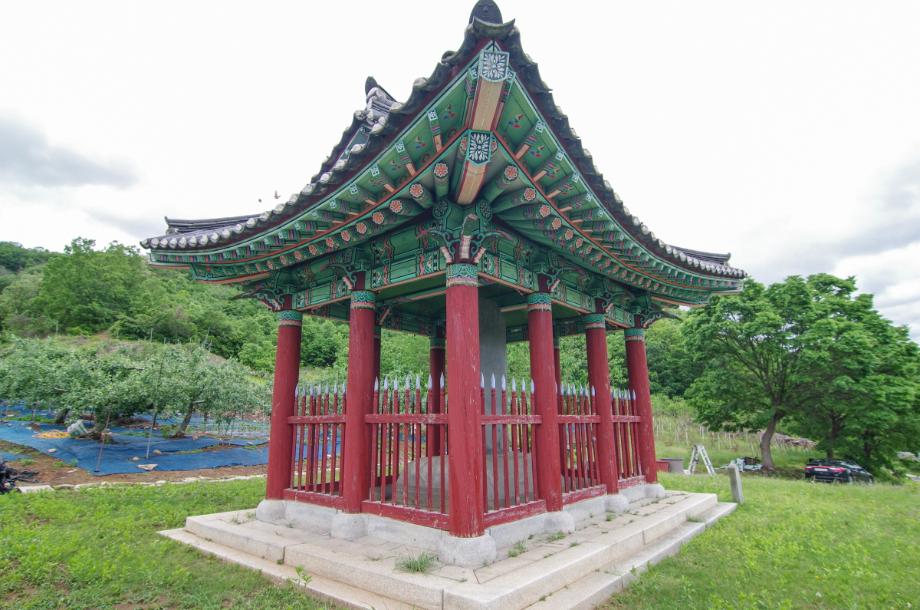 충주 억정사지 대지국사탑비 정밀실측조사 보고서