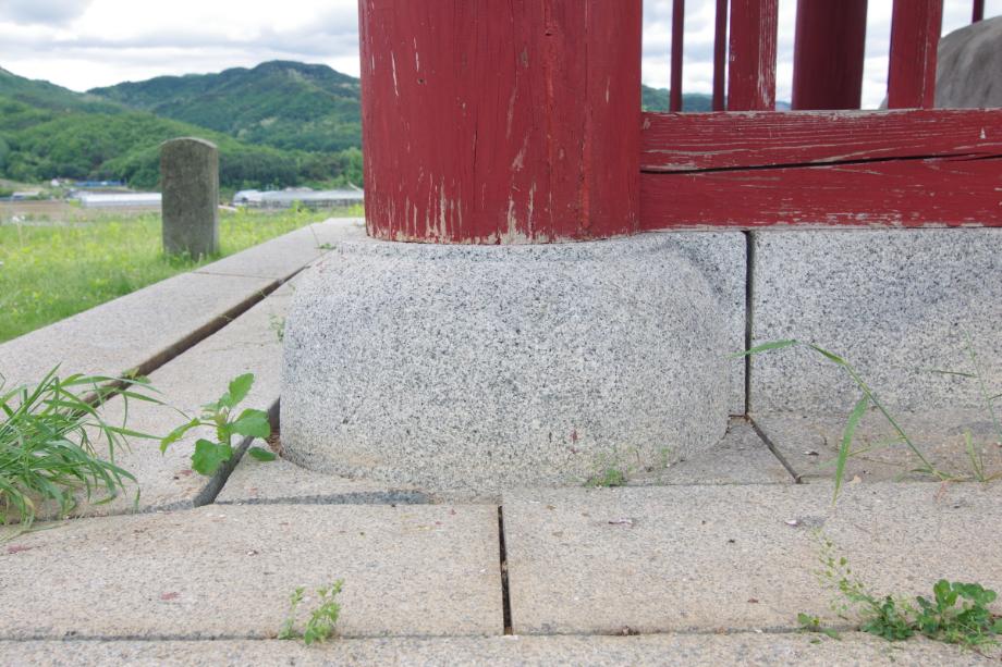 충주 억정사지 대지국사탑비 정밀실측조사 보고서