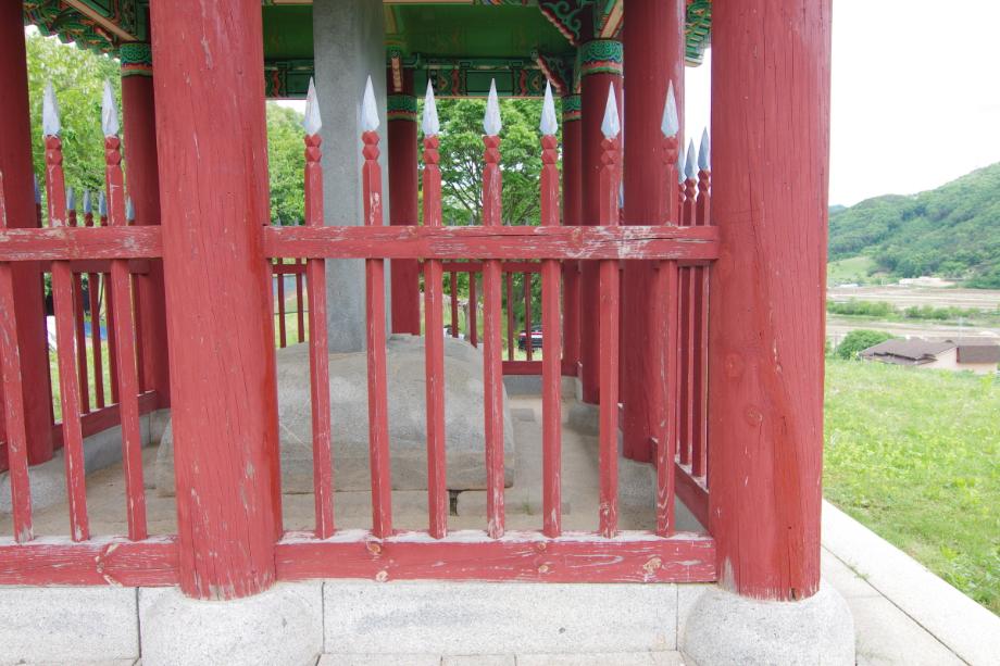 충주 억정사지 대지국사탑비 정밀실측조사 보고서