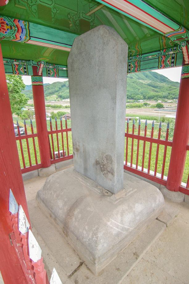 충주 억정사지 대지국사탑비 정밀실측조사 보고서