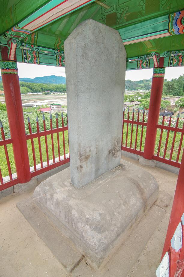 충주 억정사지 대지국사탑비 정밀실측조사 보고서