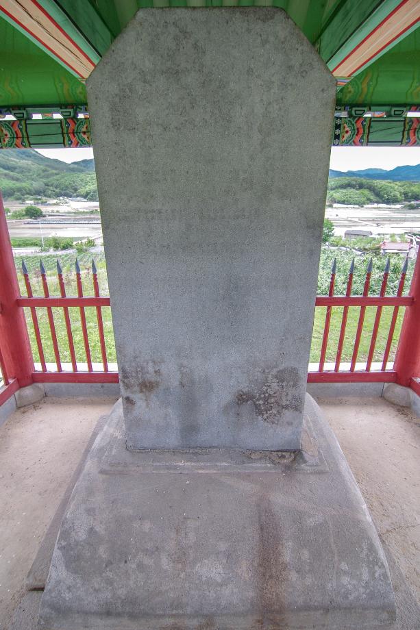 충주 억정사지 대지국사탑비 정밀실측조사 보고서