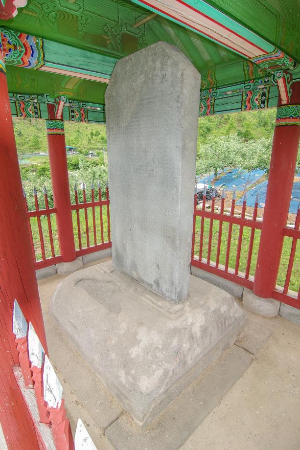 충주 억정사지 대지국사탑비 정밀실측조사 보고서