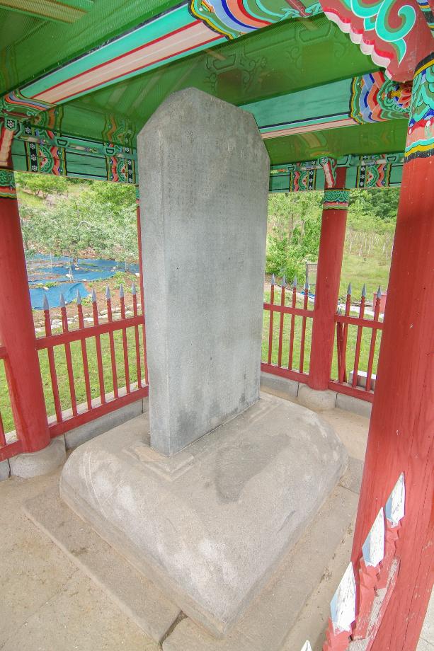 충주 억정사지 대지국사탑비 정밀실측조사 보고서