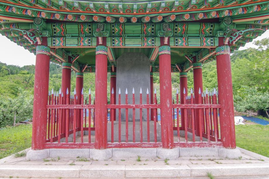 충주 억정사지 대지국사탑비 정밀실측조사 보고서