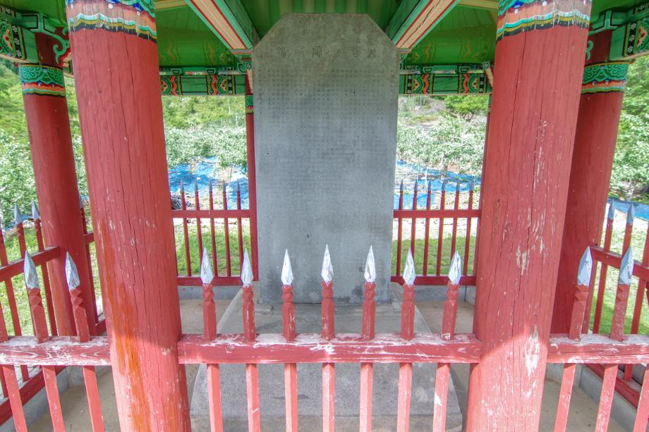 충주 억정사지 대지국사탑비 정밀실측조사 보고서