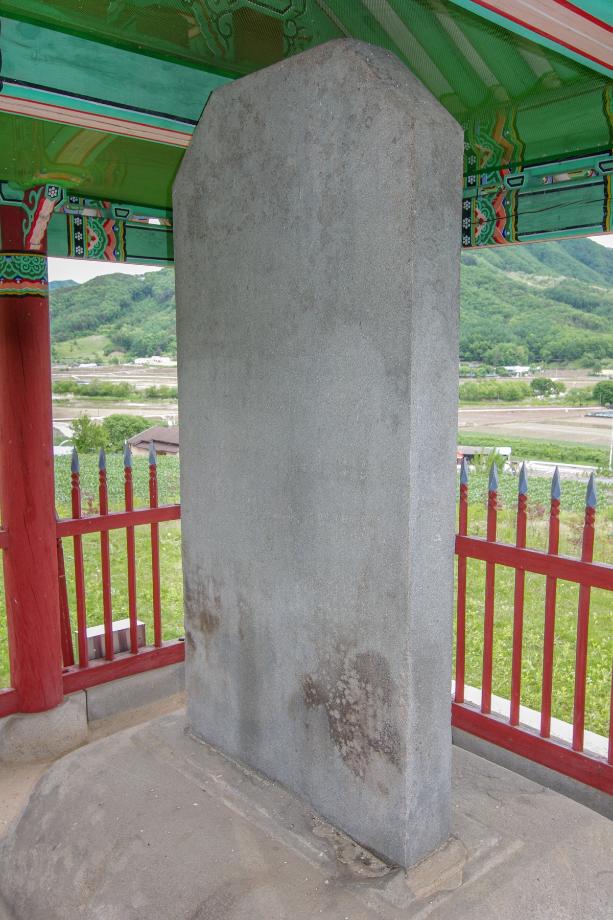 충주 억정사지 대지국사탑비 정밀실측조사 보고서