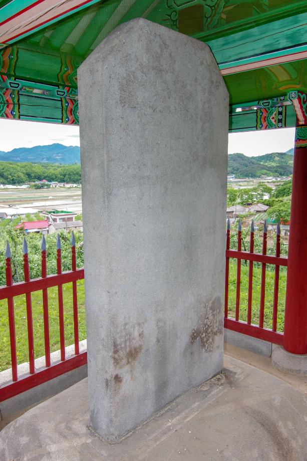 충주 억정사지 대지국사탑비 정밀실측조사 보고서