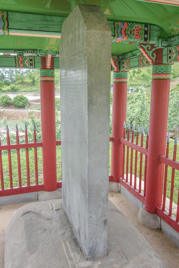 충주 억정사지 대지국사탑비 정밀실측조사 보고서