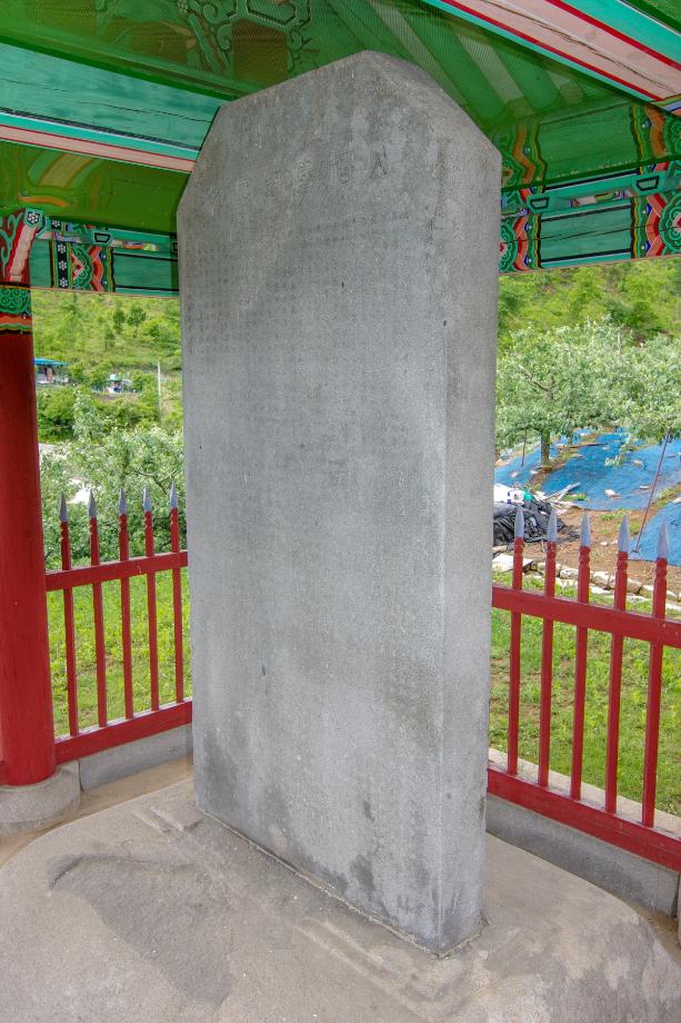 충주 억정사지 대지국사탑비 정밀실측조사 보고서