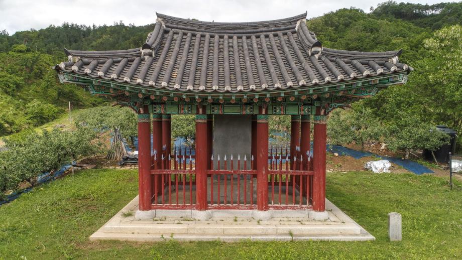 충주 억정사지 대지국사탑비 정밀실측조사 보고서