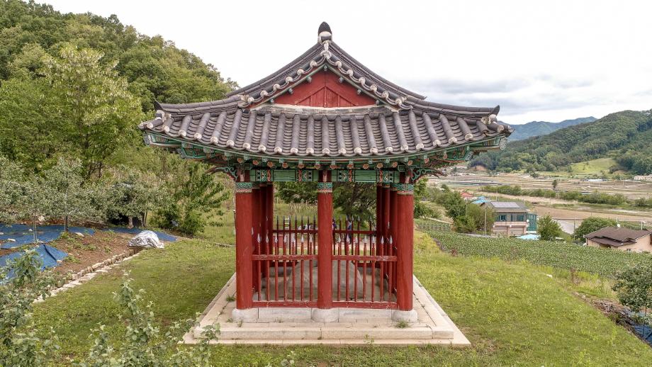 충주 억정사지 대지국사탑비 정밀실측조사 보고서