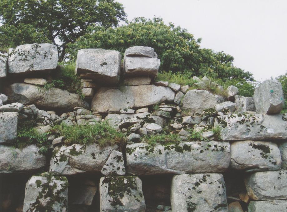 충주 미륵리 석조여래입상이미지