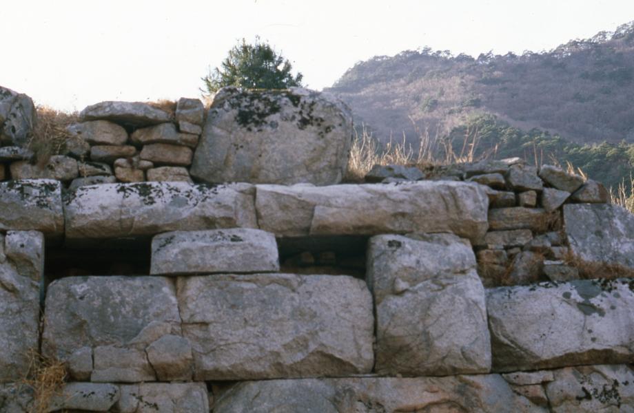 충주 미륵리 석조여래입상이미지