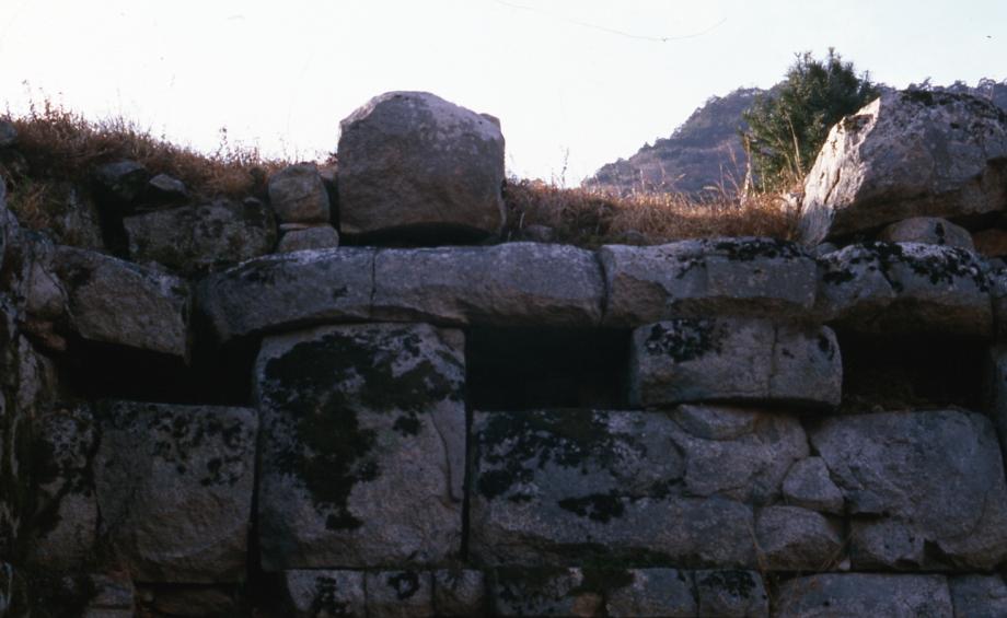 충주 미륵리 석조여래입상이미지