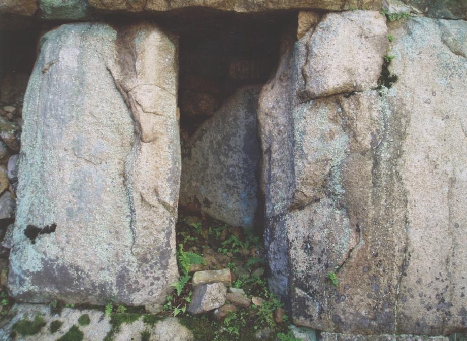 충주 미륵리 석조여래입상이미지