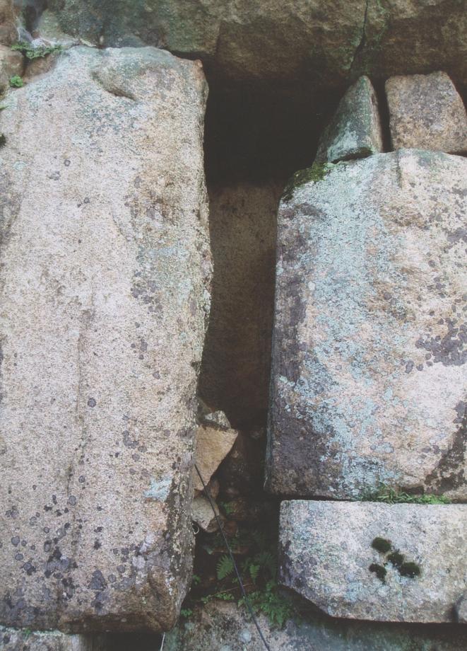 충주 미륵리 석조여래입상이미지