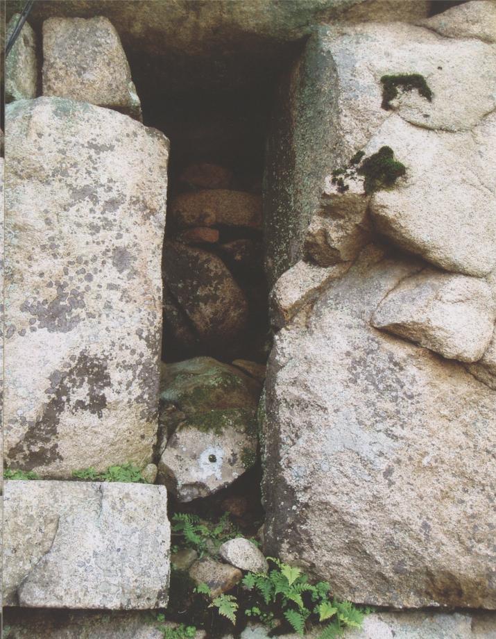 충주 미륵리 석조여래입상이미지