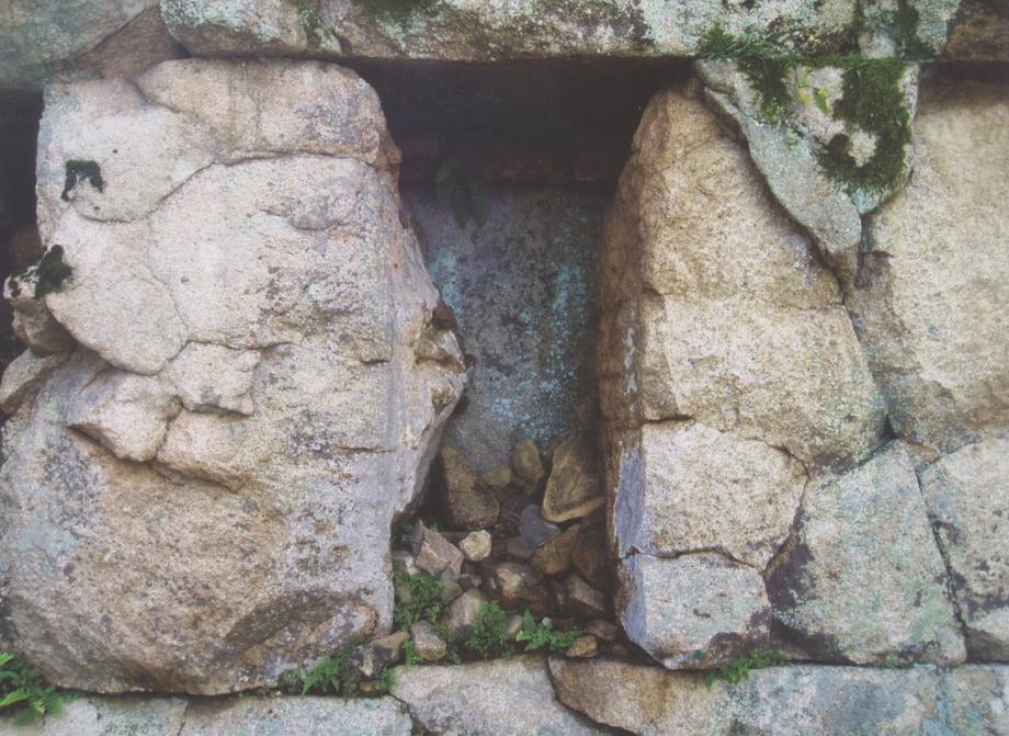 충주 미륵리 석조여래입상이미지