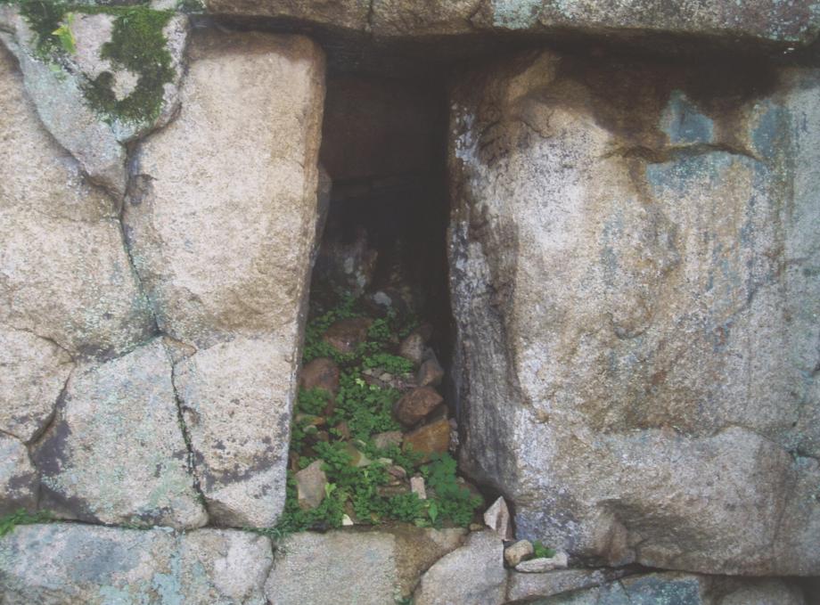충주 미륵리 석조여래입상이미지