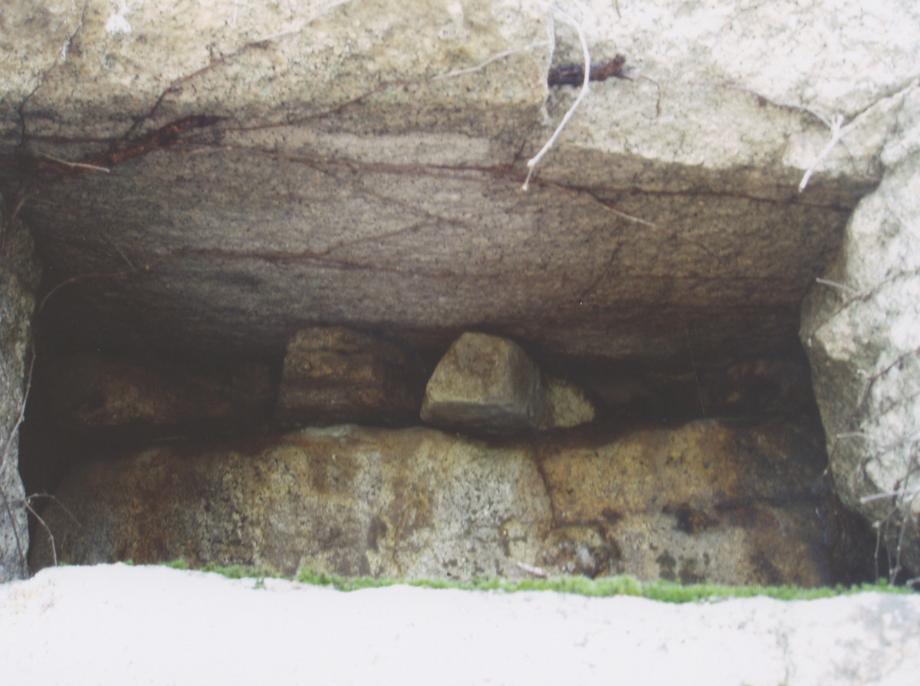 충주 미륵리 석조여래입상이미지