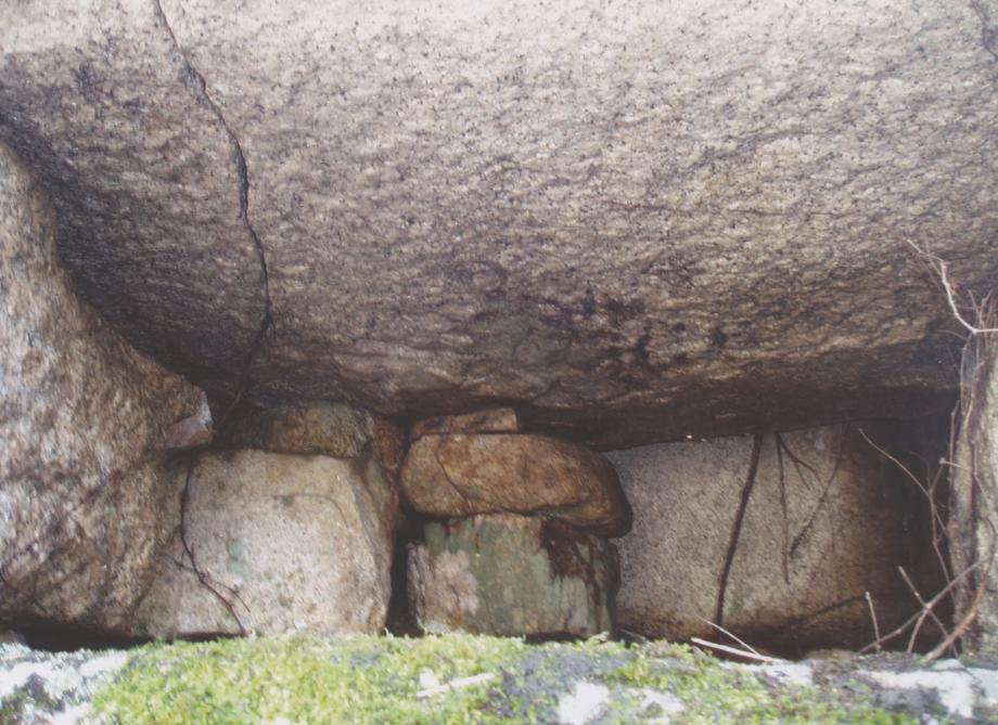 충주 미륵리 석조여래입상이미지