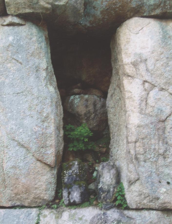 충주 미륵리 석조여래입상이미지