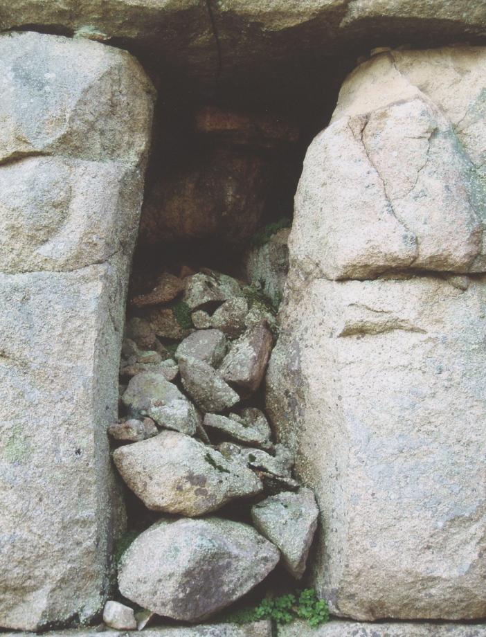 충주 미륵리 석조여래입상이미지