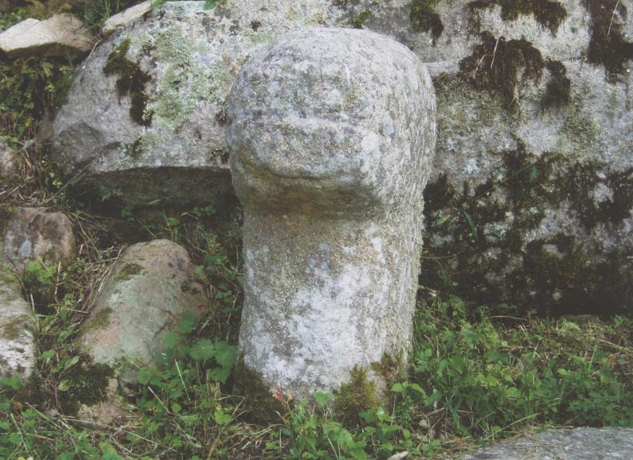 충주 미륵리 석조여래입상이미지