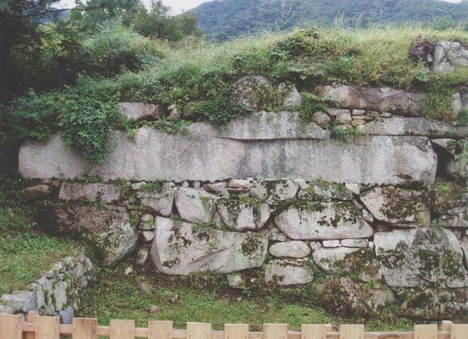 충주 미륵리 석조여래입상이미지