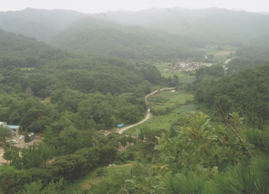 충주 미륵리 석조여래입상이미지