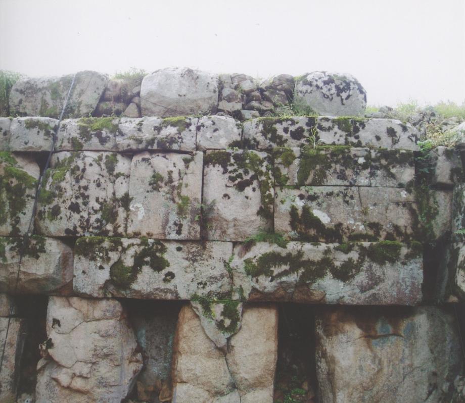 충주 미륵리 석조여래입상이미지