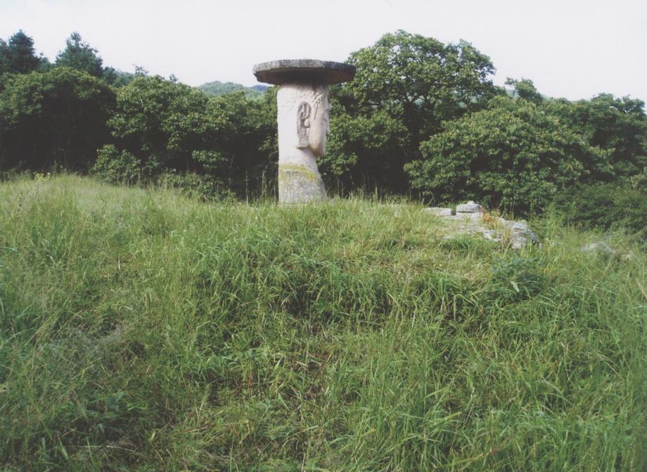 충주 미륵리 석조여래입상이미지