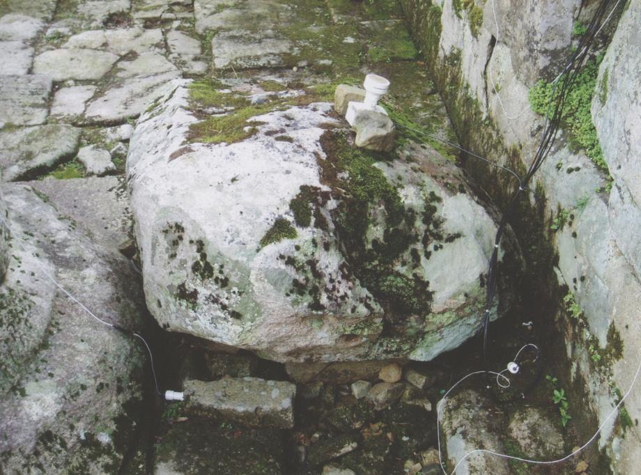 충주 미륵리 석조여래입상이미지