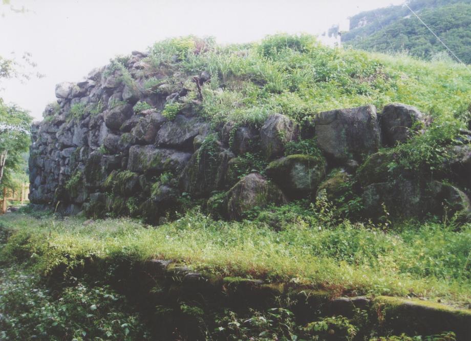 충주 미륵리 석조여래입상이미지